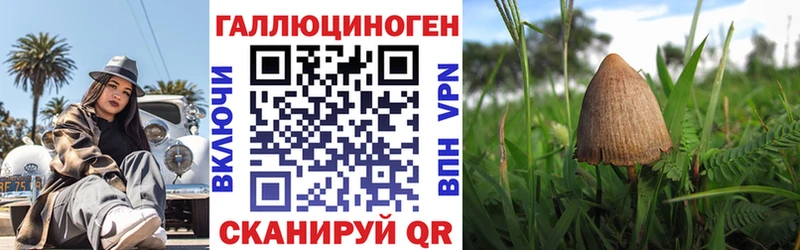 KRAKEN   Ленск  Псилоцибиновые грибы прущие грибы 
